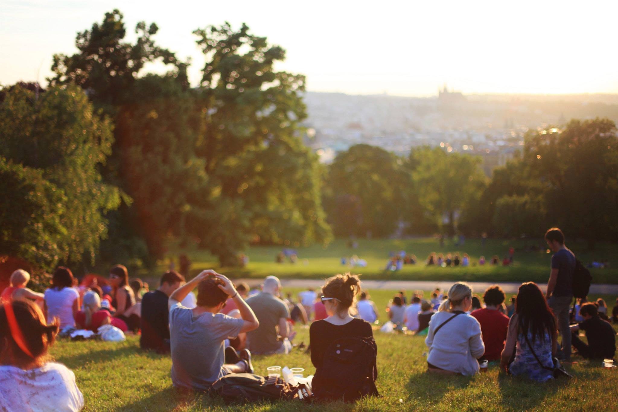 picnic on grass